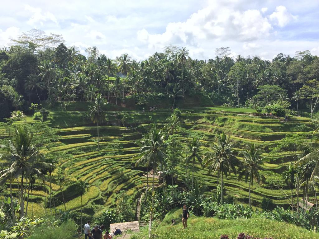 The Suris Ubud Exterior photo
